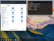 Pantheon BigLinux Deepin
